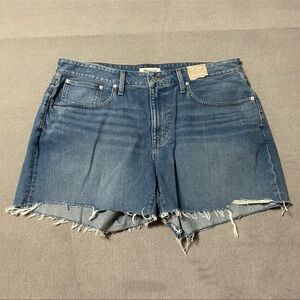 Madewell Blue Denim Women's Shorts (Worn and Reposhed - No Tags)